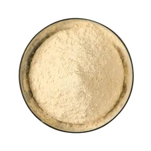プロフェッショナルメーカー高品質脱水ピュアホワイト大根粉末ピュアナチュラルオーガニック経済的オリジナルフレーバー - Product Image 4