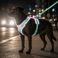 Ensemble Harnais et Laisse Réfléchissant en Polyester Solide pour Chien, Réglable, pour la Sécurité des Animaux, Idéal pour la Marche et l'Entraînement en Extérieur, Convient à Toutes les Races - Vente en Gros