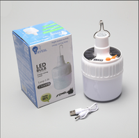 Lanterne de camping et de jardin à LED rechargeable solaire super lumineuse, batterie au lithium, Ra90, 5 modes, éclairage extérieur portable, corps en ABS, IP65