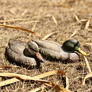 Señuelo de Caza de Patos Flotante Realista de Plástico - Decoración para Jardín, Piscina, Patio y Lago - Product Image 3