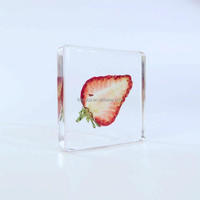 Spesimen Resin Buah Asli Spesimen Kristal Resin Pemberat Kertas Model Tanaman Asli Dekorasi Resin Epoksi Taksidermi
