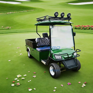 Voiturettes de golf électriques de haute qualité à 2 places pour sites touristiques, vente directe usine, prix abordable - Product Image 5