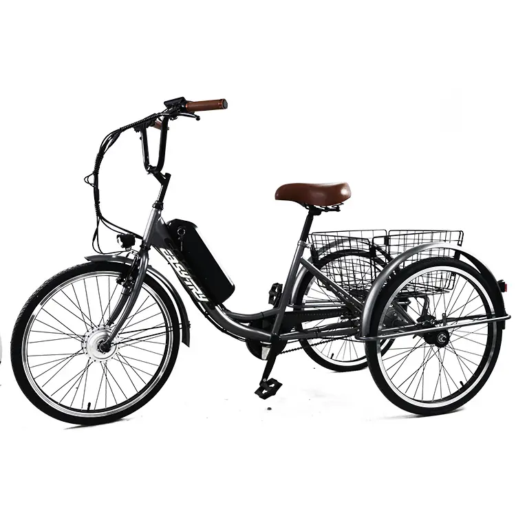 Bicicletta elettrica cargo 24 pollici 36V 250W bicicletta elettrica