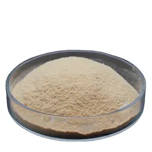 China Supplier Bulk Lowest Price and High Quality Chromium Rich Yeast Powder 2000PPM