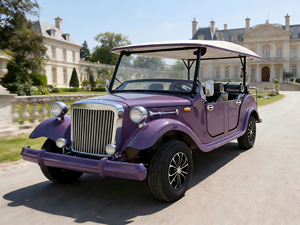 Voiturette de golf électrique classique rétro 8 places avec auvent - Product Image 4