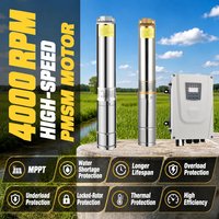 Bomba Sumergible Solar de 1 Pulgada para Pozos Profundos, 220V, de Alta Eficiencia, con Certificación CE y Auditoría BSCI, para Riego Agrícola