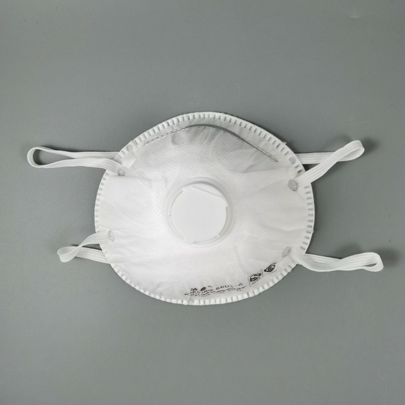 High Quality Disposable Anti Dust Work
