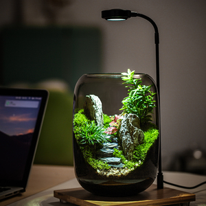 <span class=keywords><strong>Terrarium</strong></span> <span class=keywords><strong>en</strong></span> <span class=keywords><strong>verre</strong></span> transparent moderne et écologique à faire soi-même, <span class=keywords><strong>vase</strong></span> de table <span class=keywords><strong>pour</strong></span> micro-paysages, plantes succulentes et décoration <span class=keywords><strong>en</strong></span> mousse - Product Image 2