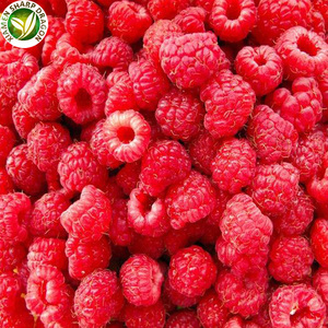 <span class=keywords><strong>Iqf</strong></span> אורגני בכמויות פירות קפואים פטל מחיר - Product Image 5