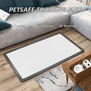 Tapis d'apprentissage pour animaux de compagnie au <span class=keywords><strong>charbon</strong></span> <span class=keywords><strong>actif</strong></span> de qualité supérieure, super absorbants, sans odeur, pour chiots, jetables, pour la maison - Product Image 2