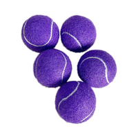 BunnyHi WQ002 Balles de tennis en caoutchouc pour chien avec logo personnalisé Fournitures interactives pour animaux de compagnie pour la formation Jouets de mouvement pour chiens