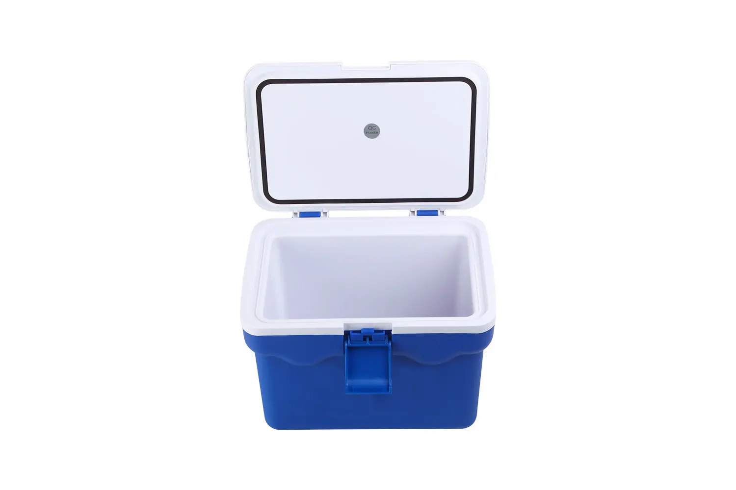 Hot selling Mini Portable Car Refrigerator Customize 12v 240v Portable Camping Electric Cooler Box