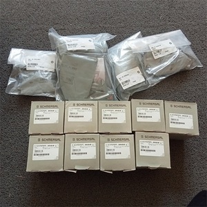ลิมิตสวิตช์ Schmersal รุ่น AZM415-22XPK14H-9725-24VAC/DC IP67 สำหรับงานอุตสาหกรรม แบบลูกกลิ้งโลหะ - Product Image 4
