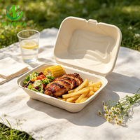 SUMKOKA Boîte alimentaire en pulpe de canne à sucre 9*6 pouces, emballage alimentaire jetable en bagasse, boîte à clapet pour la restauration