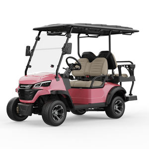 Voiturette de golf tout-terrain avec espace de rangement, véhicule multi-usages pour passagers, personnalisable avec logo pour le marketing - Product Image 3