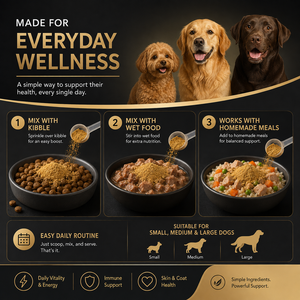 Multivitamínico <span class=keywords><strong>en</strong></span> <span class=keywords><strong>Polvo</strong></span> para Perros con L-Carnitina y Taurina, Apoyo Metabólico y para la Salud del Corazón, Nutrición Diaria para Mascotas, Compra al por Mayor - Product Image 3