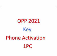 Clé Professional Plus 2021, activation téléphonique à 100%, logiciel d'activation en gros, code d'activation, licence, systèmes d'exploitation pris en charge