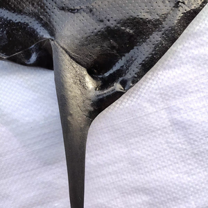 Manufacturer Nonstandard Moulded Parts Other Silicone <strong>Unvulcanized</strong> <strong>Rubber</strong> - Product Image 2