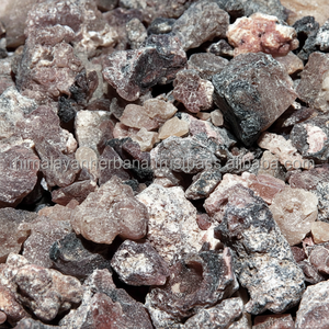 ผู้ผลิตผงสารสกัด guggul จากอินเดีย | ผงสกัด guggul 20:1 | ผงสกัดจากเหงือก guggul - Product Image 1