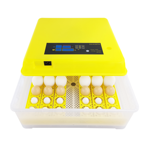 Lồng ấp trứng nhỏ máy trung quốc parrot mái ấp để bán - Product Image 5