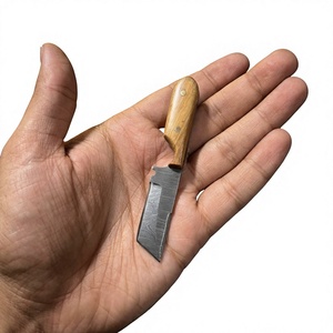 Cuchillo de Supervivencia y Caza de Hoja Fija Mini, Hecho a Mano, de Alta Calidad, con Acero de Damasco Industrial, Punta Caída, Mango de Resina OEM - Product Image 4