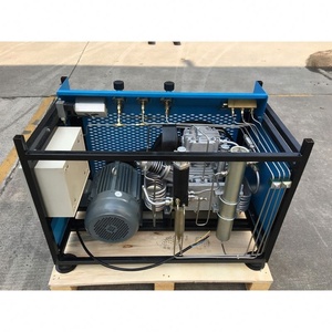 Fabricant professionnel Vente en gros <span class=keywords><strong>Compresseur</strong></span> d'<span class=keywords><strong>air</strong></span> haute pression 300bar d'<span class=keywords><strong>occasion</strong></span> pour machine respiratoire - Product Image 5