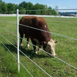 Customized Solid Fiberglass Fence Posts, sharp Tip Fence Stick, Fence <b>Rod</b> - Product Image 4