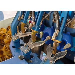 เครื่องตัดจะงอยปากอัตโนมัติและอุปกรณ์สร้างภูมิคุ้มกันเครื่องเล็มจะงอยปากไก่ด้วยเลเซอร์ - Product Image 4