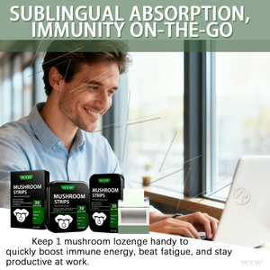 Chips de Melena de León Natural al Por Mayor, Orgánicos, Apoyo Neurológico, Defensa Inmunológica - Product Image 5