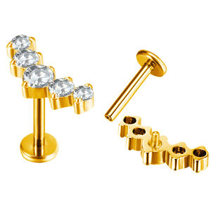 Fábrica de moda ASTM F136 titanio pendiente nariz anillo Piercing 16G internamente roscado Labret mujeres Piercing joyería al por mayor - Product Image 6