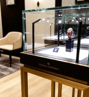 Vitrine de présentation de bijoux de luxe moderne avec éclairage LED et structure en aluminium
