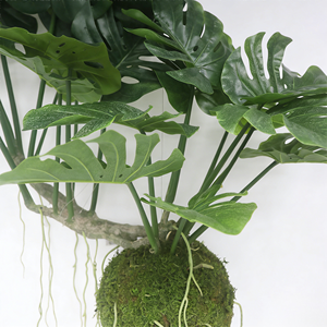 <span class=keywords><strong>Plante</strong></span> suspendue artificielle Monstera en boule de mousse, <span class=keywords><strong>grande</strong></span> <span class=keywords><strong>plante</strong></span> tropicale Monstera suspendue <span class=keywords><strong>pour</strong></span> plafond, fenêtre, <span class=keywords><strong>bureau</strong></span>, décoration de la maison - Product Image 3