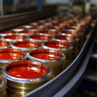 Sardines Linkz en conserve premium certifiées Halal, 155g, prêtes à consommer, sauce tomate pimentée, origine Singapour, durée de conservation 3 ans