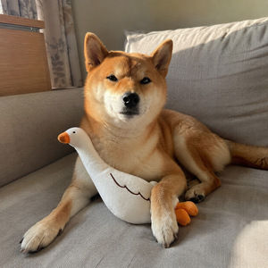 Funny Cartoon Pet <b>Plush</b> Play Toy Soft Comfort Stuffed Toy for Pet Daily Fun Bite Resistant Pet Entertainment Toy - Product Image 3