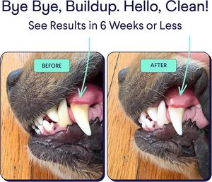 Polvo Dental para <span class=keywords><strong>Perros</strong></span>, Eliminador de Placa, Elimina el Sarro y el <span class=keywords><strong>Mal</strong></span> <span class=keywords><strong>Aliento</strong></span> - Product Image 2