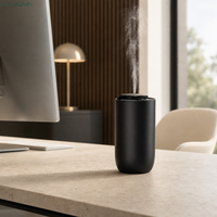 Diffuseur d'huiles essentielles sans eau USB rechargeable, écologique, pour la maison et la voiture, installation sur table