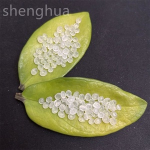 KUNLUN/SINOPEC alta calidad molde de inyección grado polipropileno (PP) copolímero homopolímero gránulos rafia accesorios de herramientas eléctricas - Product Image 1
