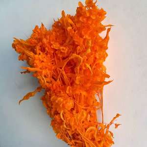 Bouquet de <span class=keywords><strong>fleurs</strong></span> séchées style Ins, 12 pièces, <span class=keywords><strong>fleurs</strong></span> éternelles, papillons de décoration artistique - Product Image 3