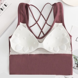 Nouveau Soutien-gorge <span class=keywords><strong>Crop</strong></span> <span class=keywords><strong>Top</strong></span> Femme Sexy Sans Bretelles Sans Fil Sans Couture <span class=keywords><strong>Dos</strong></span> <span class=keywords><strong>Nu</strong></span> avec Coussinets Bralette Débardeur Gilet Féminin - Product Image 6