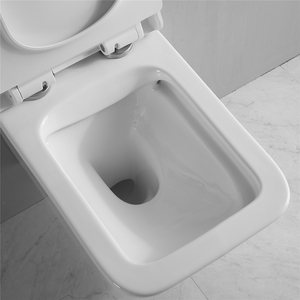 Inodoro Cuadrado de Cerámica Colgante de Pared con Color Mate Personalizado, Tanque Oculto, Doble Descarga, Diseño de Una Pieza - Product Image 4