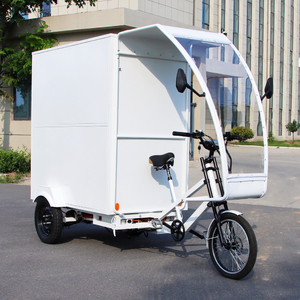 Tricycle électrique à 3 roues robuste avec caisse de livraison fermée pour la logistique du dernier kilomètre, la livraison par coursier et l'utilisation urbaine - Product Image 2