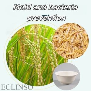 Palillos Chinos de Bambú de Lujo, Sostenibles y Elegantes para Bodas, Restaurantes, Campamentos y Fiestas, Diseño Artesanal - Product Image 2