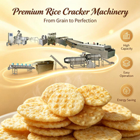 200kg/h Thai Crispy Rice Cracker Processing Extruder Machine Production Line Equipment