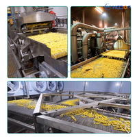 30Cm Super Lange Frietmachine Nieuwe Staat Groentemeel Maken En Friteuse Sleutel Mixer Machine