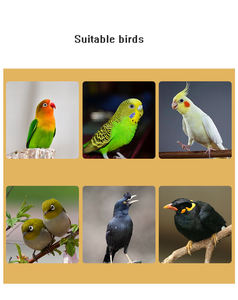 Toptan yüksek kaliteli beyaz ticari Metal kuş kafesleri <span class=keywords><strong>Aviaries</strong></span> kapalı küçük katlanabilir katı desen plastik tepsi kutusu - Product Image 2