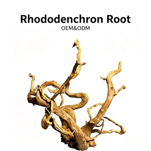 Bois flotté de rhododendron de qualité supérieure, compatible OEM, sur mesure, <span class=keywords><strong>pour</strong></span> aquarium planté, commande en gros - Product Image 1