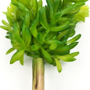 人工多肉植物ミニジューシー人工緑かわいい多肉植物盆栽装飾ホーム & オフィスグリーン装飾工場 - Product Image 2