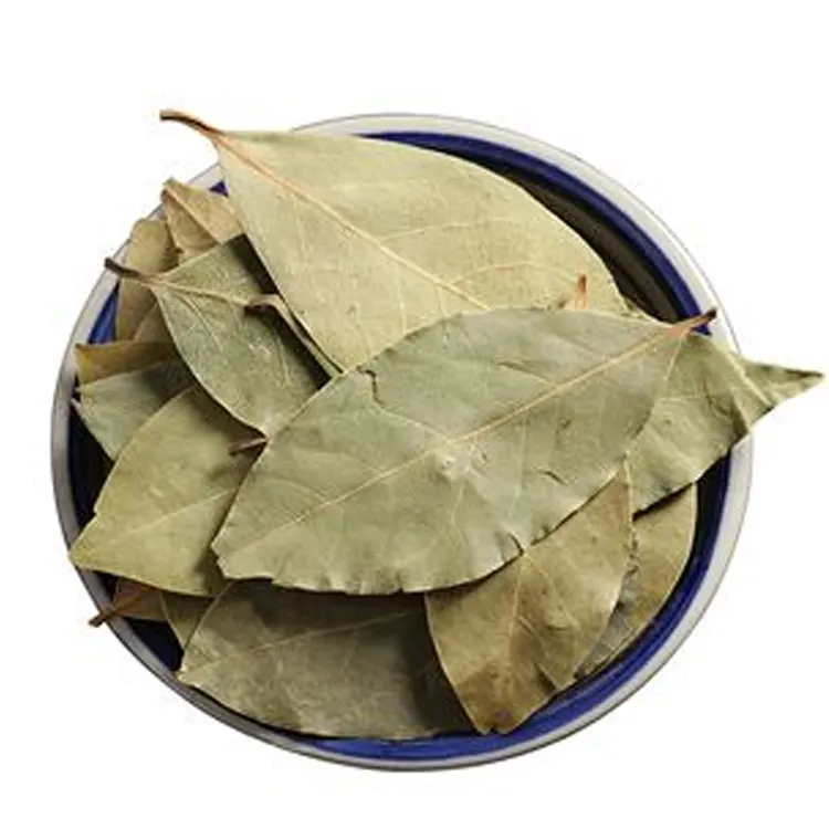 Wholesale Bayleaf Single Herbs and Spices Dried export trade fragrance bay leaf