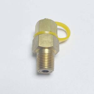 Bouchon de <span class=keywords><strong>test</strong></span> en laiton, bouchon de liant pour testeur de température et de pression, jauge de filetage de tuyau pour outils de <span class=keywords><strong>test</strong></span> pneumatiques hydrauliques - Product Image 2