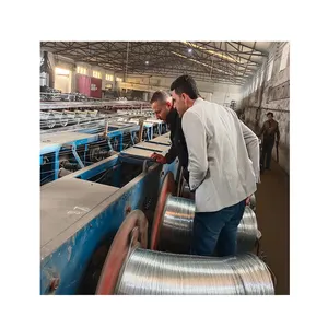 स्टील वायर गैल्वनाइजिंग उत्पादन लाइन इलेक्ट्रो गैल्वेनाइज्ड वायर उत्पादन लाइन